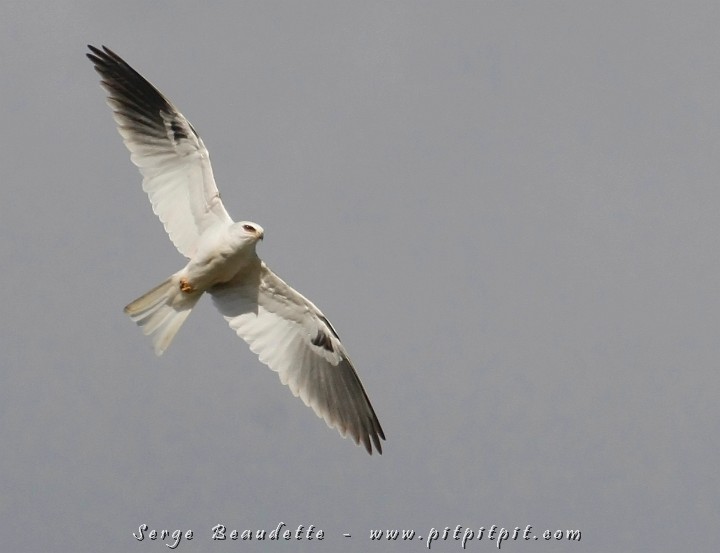 2009-01-10 14-20-44__MG_2414.JPG